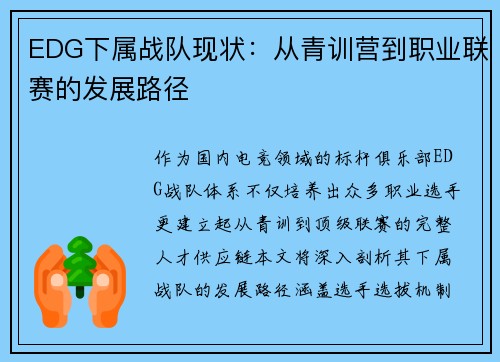 EDG下属战队现状：从青训营到职业联赛的发展路径